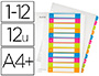 INTERCALAIRE LEITZ WOW POLYPROPYLNE 12 TOUCHES A4+ 212X310MM TABLE MATIRES IMPRIMABLE MULTICOLORE