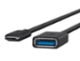 ADAPTATEUR BELKIN RESEAU USB-C 3.0 VERS USB-A FEMELLE  10CM