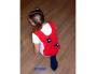 CIBLES ET BALLES FIRST LOISIRS JEU DE LA POULE ET DU RENARD 12 CHASUBLES           ACCROCHEUSES 12 BALLES