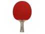 RAQUETTES TENNIS DE TABLE BOIS MANCHE ERGONOMIQUE       CAOUTCHOUC PICOTS RETOURNES   COLORIS ASSORTIS