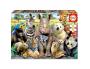 PUZZLES CARTON 300 PIECES EDUCA LA PHOTO DE CLASSE 300  PIECES