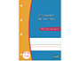 FEUILLETS MOBILES HAMELIN SERPODILE PERFORES A4 100     PAGES DOUBLE LIGNE 5MM NIVEAU 2