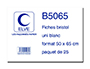 FEUILLE BRISTOL ELVE 50X65CM 190G UNI BLANC