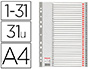 INTERCALAIRE ESSELTE POLYPROPYLNE 31 POSITIONS A4 225X297MM BANDE PERFORE RENFORCE