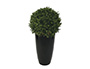 PLANTE BUIS BOULE MAXIFLEUR DELUXE PLASTIQUE QUALIT CASI NATURELLE DCO INTRIEUR EXTRIEUR HAUTEUR DIAMTRE 50CM VERT