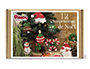 COFFRET PERLES A REPASSER PERLOU 12 SUSPENSIONS DECORATIONS NOEL COLORIS ASSORTIS 3000 PERLES + 2 PLAQUES + 7M FIL DORE