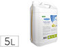 LIQUIDE VAISSELLE MAINS CITRON PH NEUTRE BIDON 5L