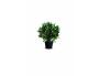 PLANTE ARTIFICIELLE LAURIER H5